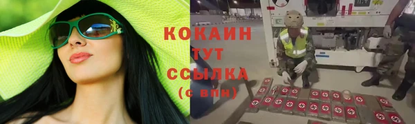 jwh Алзамай