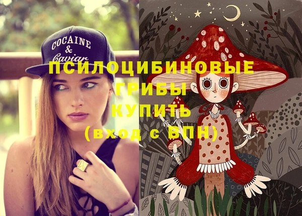 круглые Абаза
