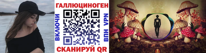 Псилоцибиновые грибы Psilocybe Дубна