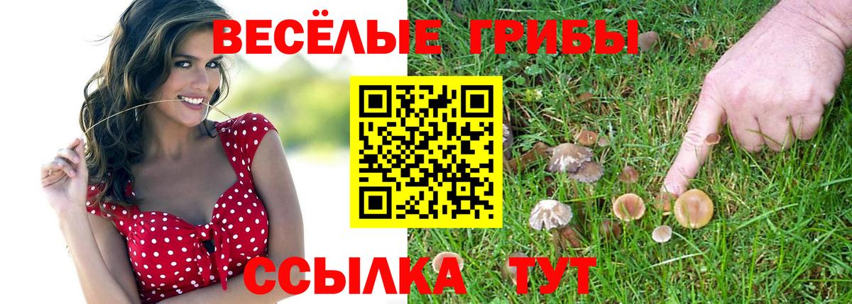 Псилоцибиновые грибы прущие грибы  Вход с VPN  Псилоцибиновые грибы Psilocybine cubensis  Дубна 