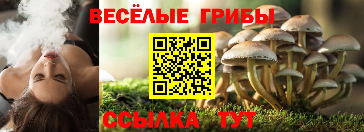 Псилоцибиновые грибы MAGIC MUSHROOMS Дубна